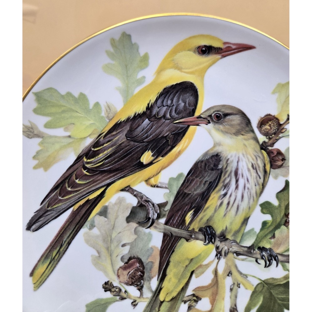 Vintage Collecter's Plate Golden‎ Orioles Part Of The European Songbirds  (WWF)